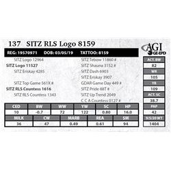 Sitz RLS Logo 8159