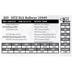 Sitz RLS Bullseye 10449