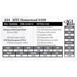 Sitz Homestead 0109