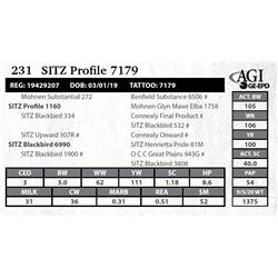 Sitz Profile 7179