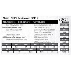 Sitz National 9319