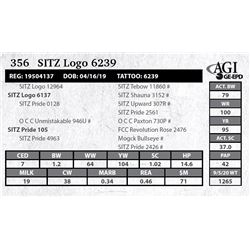 Sitz Logo 6239