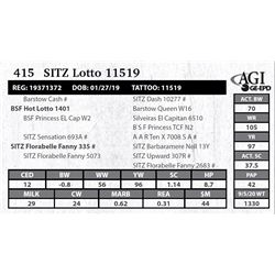 Sitz Lotto 11519