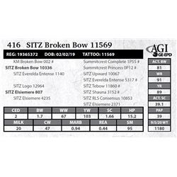 Sitz Broken Bow 11569