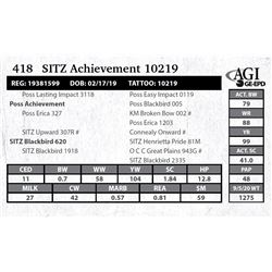 Sitz Achievement 10219