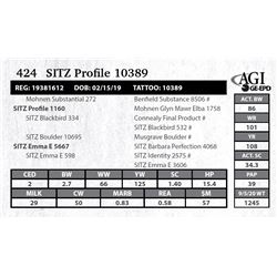 Sitz Profile 10389