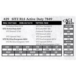 Sitz RLS Active Duty 7849