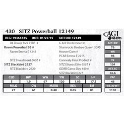 Sitz Powerball 12149