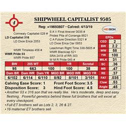 SHIPWHEEL CAPITALIST 9505