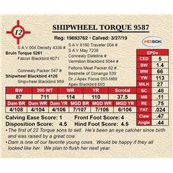 SHIPWHEEL TORQUE 9587