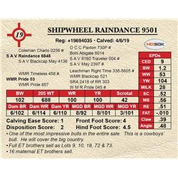 SHIPWHEEL RAINDANCE 9501