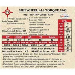 SHIPWHEEL ALS TORQUE 9563