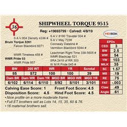 SHIPWHEEL TORQUE 9515