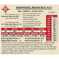 SHIPWHEEL RESOURCE 9517