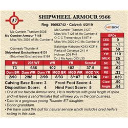 SHIPWHEEL ARMOUR 9566