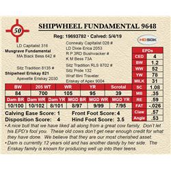 SHIPWHEEL FUNDAMENTAL 9648