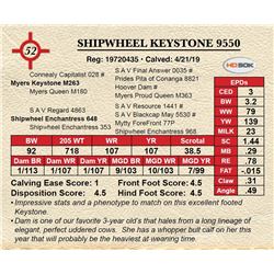 SHIPWHEEL KEYSTONE 9550