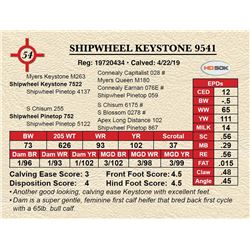 SHIPWHEEL KEYSTONE 9541