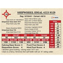SHIPWHEEL IDEAL 4223 9529