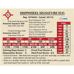 SHIPWHEEL SIGNATURE 9535