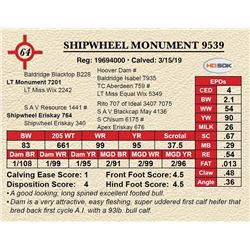 SHIPWHEEL MONUMENT 9539