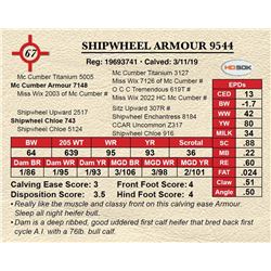 SHIPWHEEL ARMOUR 9544