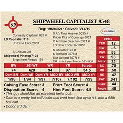 SHIPWHEEL CAPITALIST 9548