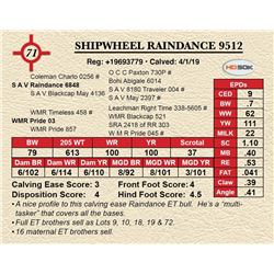 SHIPWHEEL RAINDANCE 9512