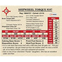 SHIPWHEEL TORQUE 9597