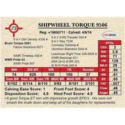 SHIPWHEEL TORQUE 9506