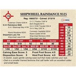 SHIPWHEEL RAINDANCE 9525