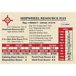 SHIPWHEEL RESOURCE 9519