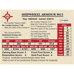 SHIPWHEEL ARMOUR 9612