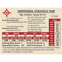 SHIPWHEEL STRATEGY 9588