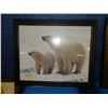 Image 1 : Polar Bear Picture