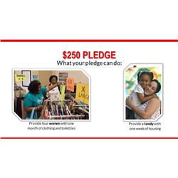 $250 Pledge