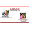 Image 1 : $2,500 Pledge