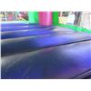 Image 8 : 15' Tinkerbell Jumper Inflatable