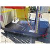 Image 10 : Mini Ferris Wheel Carnival Ride