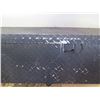 Image 4 : Full size truck box.  Painted black.