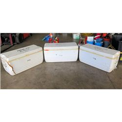 Qty 3 - Large Igloo Coolers.