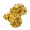 Image 2 : 1.58 Gram Gold Nugget