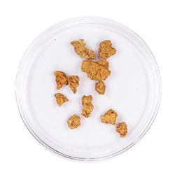 Lot of Gold Nuggets 2.39 Grams Total Weight