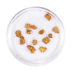 Lot of Gold Nuggets 2.58 Grams Total Weight
