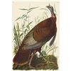 Image 1 : c1946 Audubon Print, #06 Wild Turkey