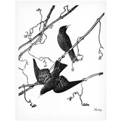 1950 Menaboni Print, Starling (Black/White)