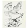 Image 1 : 1950 Menaboni Print, Sharp-skinned Hawk & Indigo Bunting