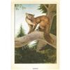 Image 2 : 1920's Marten Color Lithograph Print