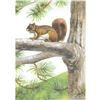 Image 1 : 1920's Red Squirrel Color Lithograph Print