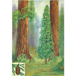 1920's Redwood Color Lithograph Print